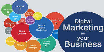 Web, SEO and SMM